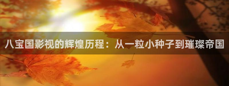 韩国影视免费在线观看：八宝国影视的辉煌历程：从一粒小种子到璀璨帝国