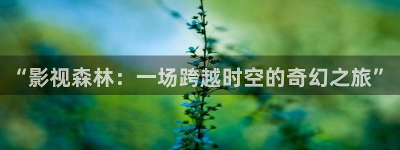 韩国影视推荐