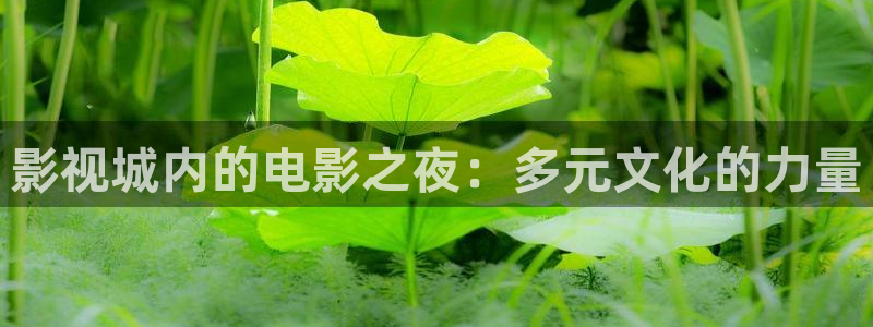 成人韩国影视：影视城内的电影之夜：多元文化的力量